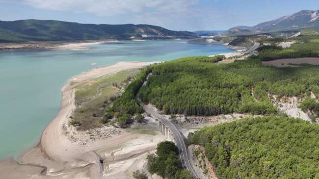 Transpirenaica